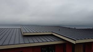 Best Emergency Roof Repair Services  in , CO